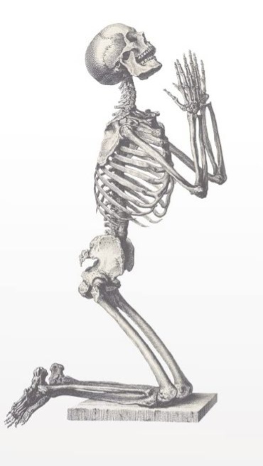 Skeleton Illustration